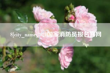 东平2021国家消防员报名官网