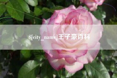 东平王子豪百科