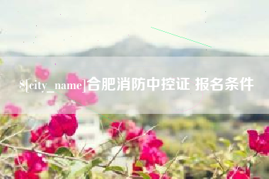 东平合肥消防中控证 报名条件