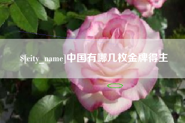 东平中国有哪几枚金牌得主