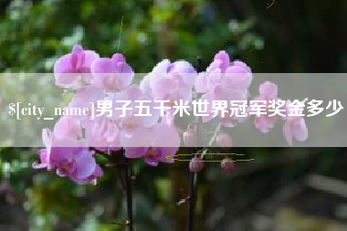东平男子五千米世界冠军奖金多少
