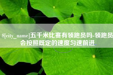 东平五千米比赛有领跑员吗-领跑员会按照既定的速度匀速前进