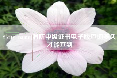 东平消防中级证书电子版查询多久才能查到