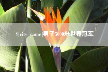 东平男子5000米世界冠军