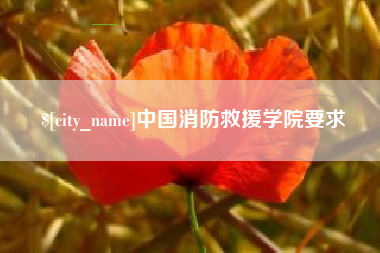 东平中国消防救援学院要求