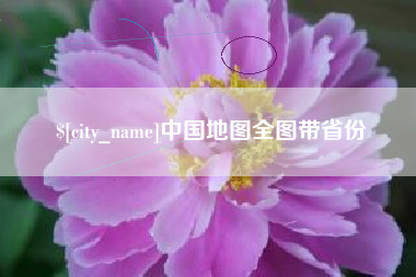 东平中国地图全图带省份