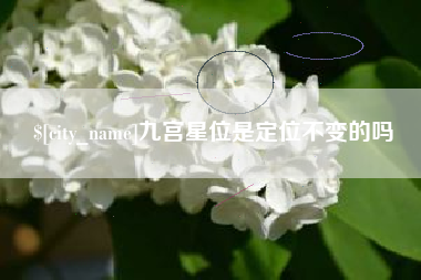 东平九宫星位是定位不变的吗