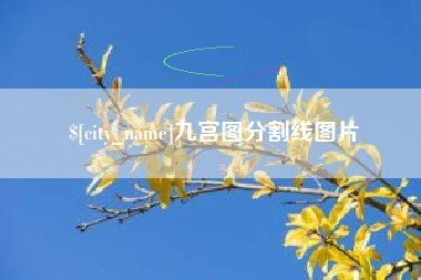 东平九宫图分割线图片