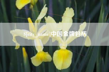 东平中国金牌包括