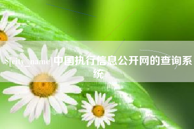 东平中国执行信息公开网的查询系统