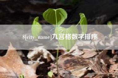 东平九宫格数字排序