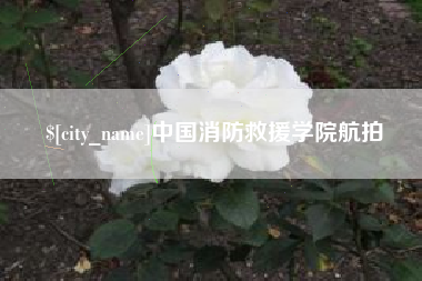 东平中国消防救援学院航拍