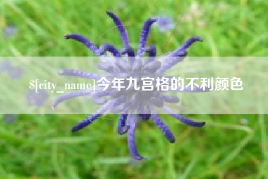 东平今年九宫格的不利颜色