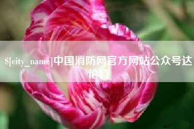 东平中国消防网官方网站公众号达伦特