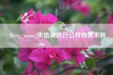 东平失信被执行公开网查不到