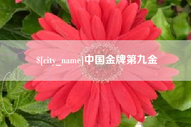 东平中国金牌第九金