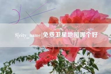 东平免费卫星地图哪个好