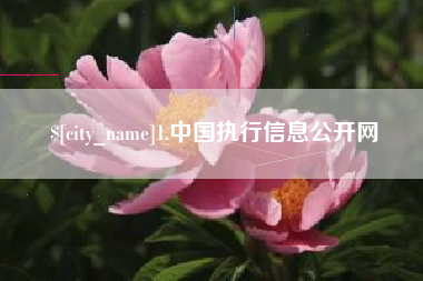 东平1.中国执行信息公开网