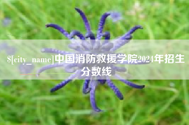 东平中国消防救援学院2024年招生分数线