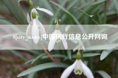 东平中国执行信息公开网询