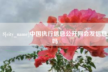 东平中国执行信息公开网会发信息吗