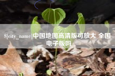东平中国地图高清版可放大 全国 电子版吗