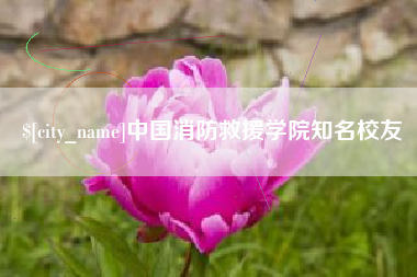 东平中国消防救援学院知名校友