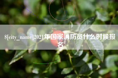 东平2021年国家消防员什么时候报名