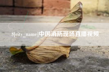 东平中国消防现场直播视频