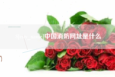 东平中国消防网址是什么