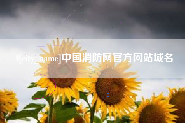 东平中国消防网官方网站域名