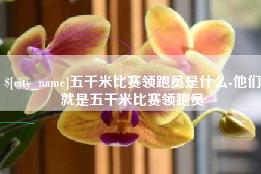 东平五千米比赛领跑员是什么-他们就是五千米比赛领跑员