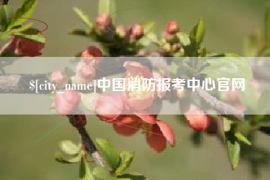 东平中国消防报考中心官网