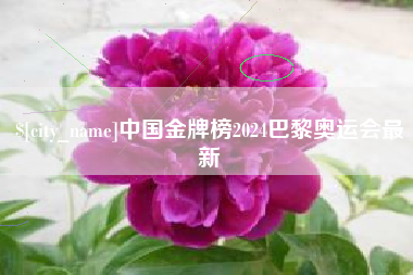 东平中国金牌榜2024巴黎奥运会最新