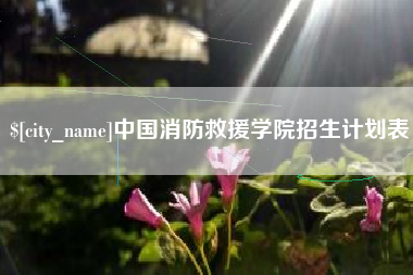 东平中国消防救援学院招生计划表