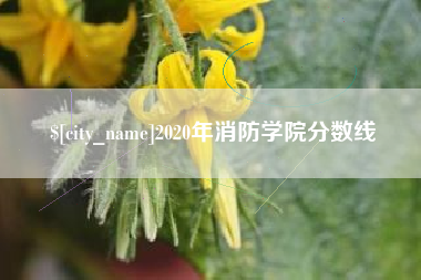 东平2020年消防学院分数线