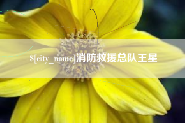 东平消防救援总队王星