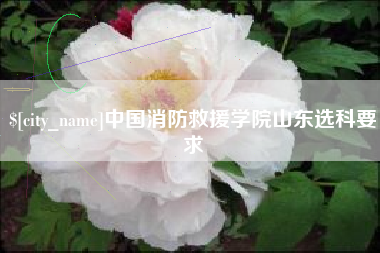 东平中国消防救援学院山东选科要求