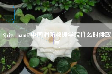东平中国消防救援学院什么时候政审