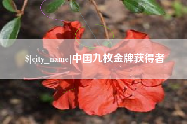 东平中国九枚金牌获得者