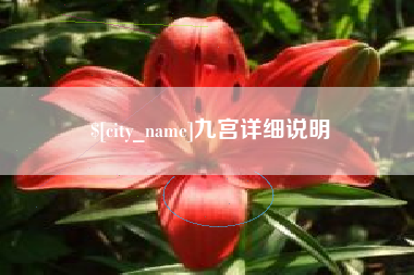 东平九宫详细说明