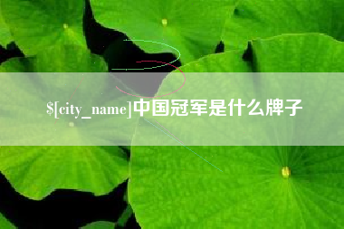 东平中国冠军是什么牌子