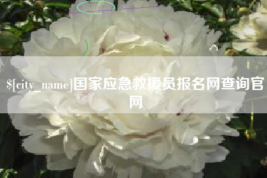 东平国家应急救援员报名网查询官网