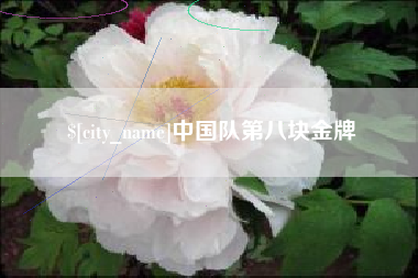 东平中国队第八块金牌
