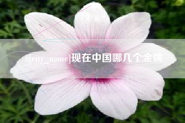 东平现在中国哪几个金牌