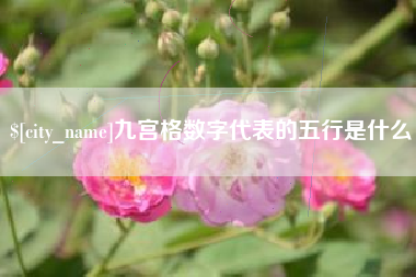 东平九宫格数字代表的五行是什么