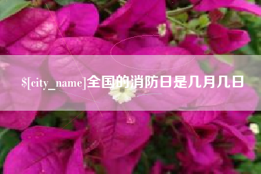 东平全国的消防日是几月几日
