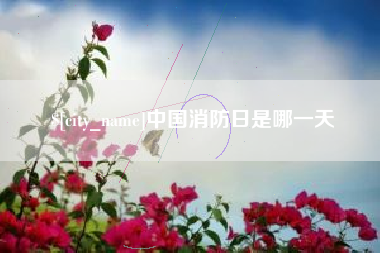 东平中国消防日是哪一天