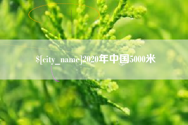东平2020年中国5000米