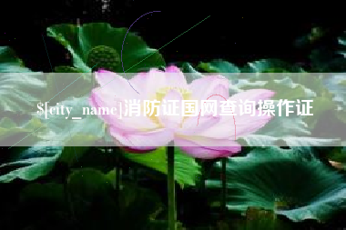 东平消防证国网查询操作证